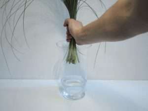 7. Entfernen Sie das Band um die Bärgräser und halten Sie diese in einer Hand über die Vase