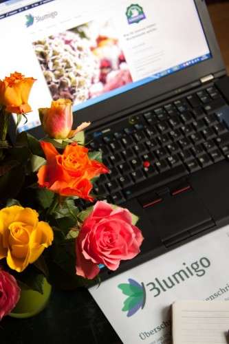 Aufbau eines Blumen Online-Shops_Blumigo_bunte Rosen