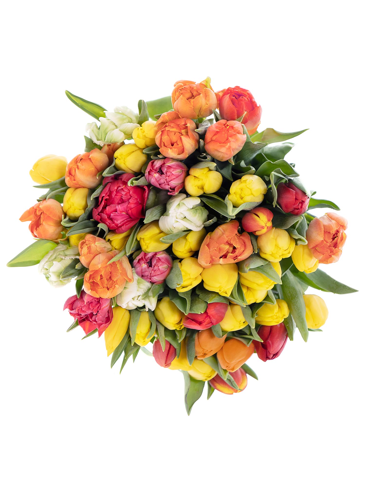Blumenfrisch inkl Bunter Blumenstrauß mit 50 frischen Tulpen im frühlingshaften Farbmix 