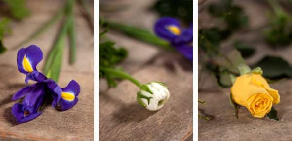 Frühlingsstrauß Zutaten blaue Iris weiße Ranunkel gelbe Rose