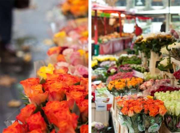 Orange Rosen auf dem Wochenmarkt in Telgte