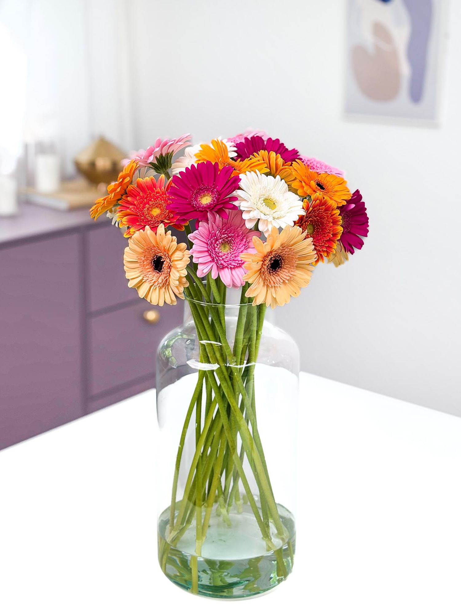 Gerbera mini "Bunte Mischung"