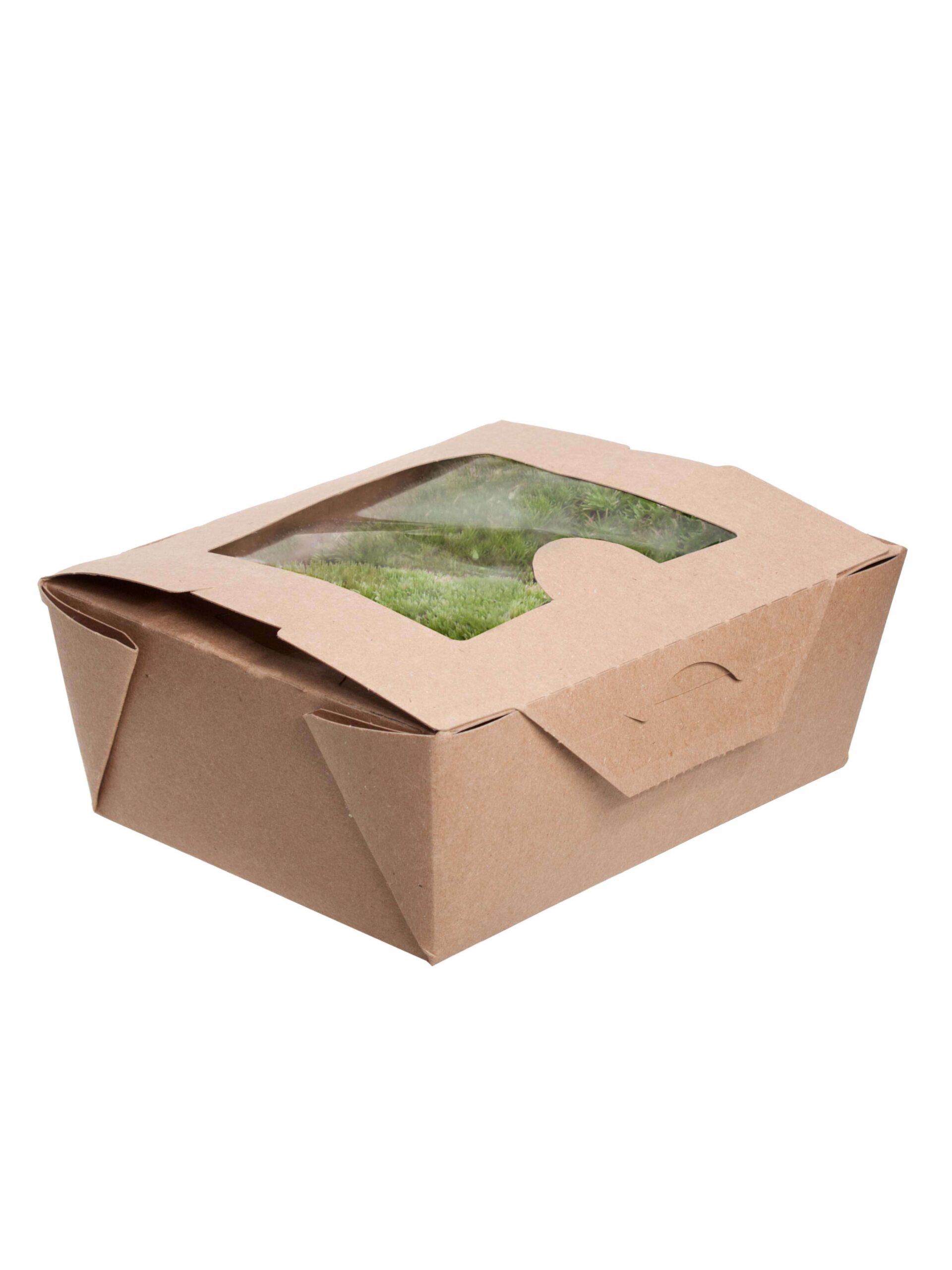 Polstermoos Box