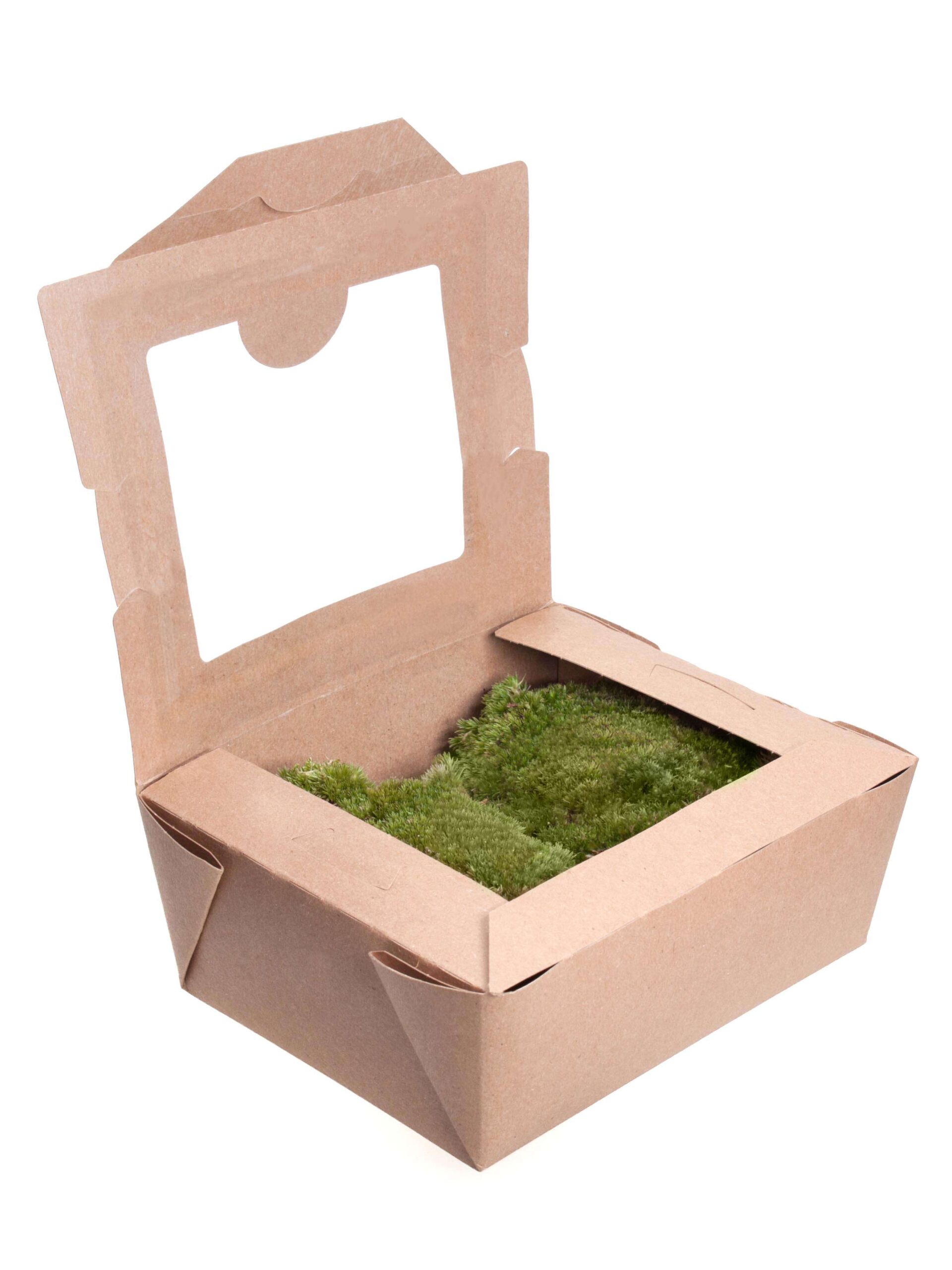 Polstermoos Box