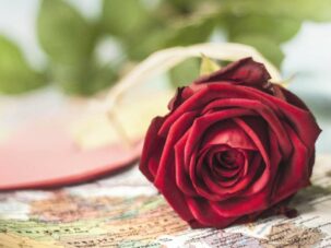 Rosenaktion in der Schule planen - Rosen zu Valentinstag verteilen