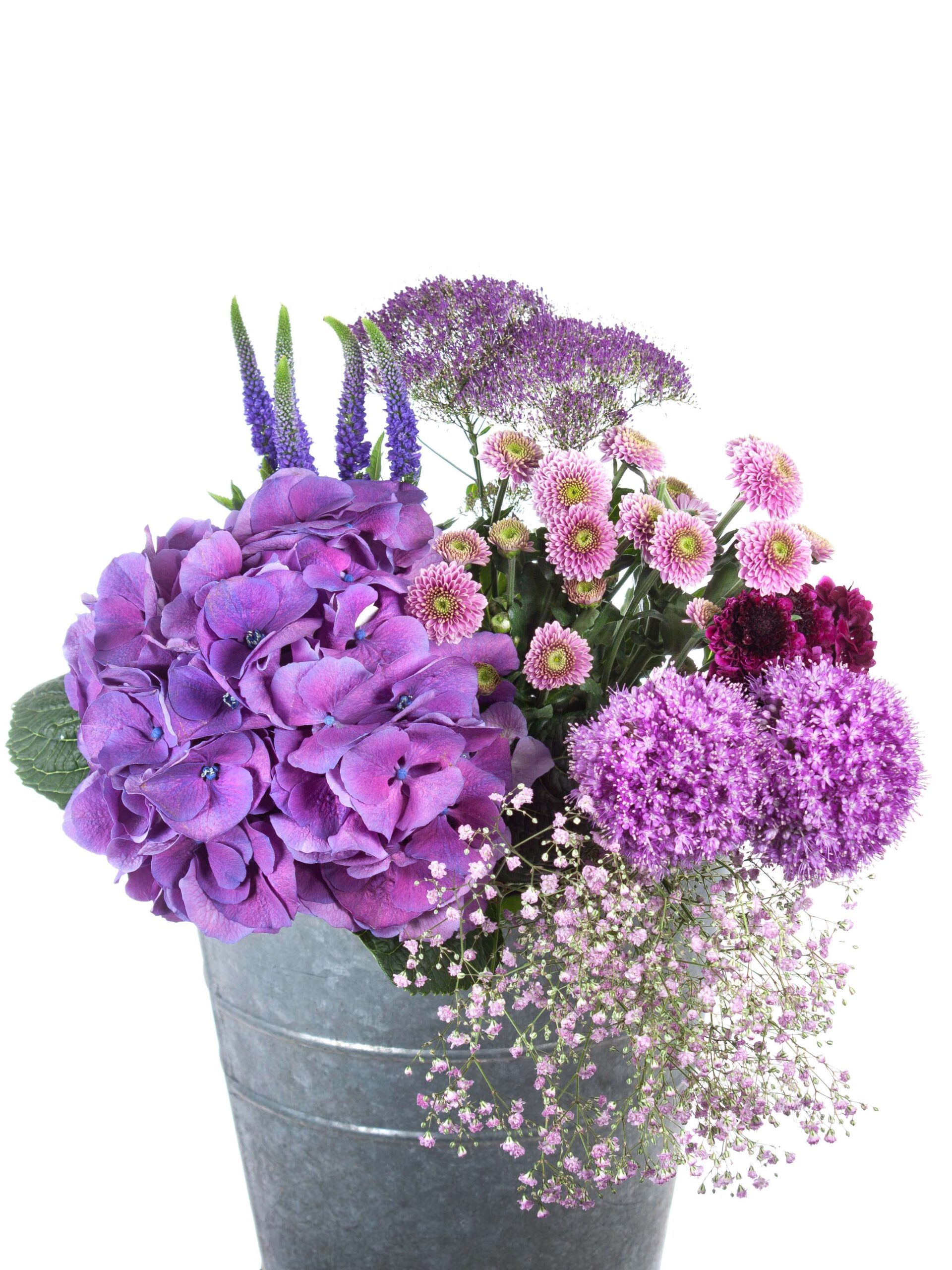 Basic Color mix - Violett-blau (1)