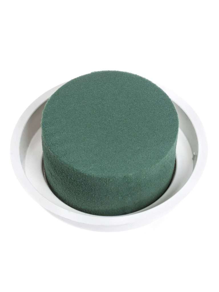 8 Stück Runder Steckschaum – 8x4 Cm, Für Frisch-, Trocken- & Kunstblumen, Wassersaugend
