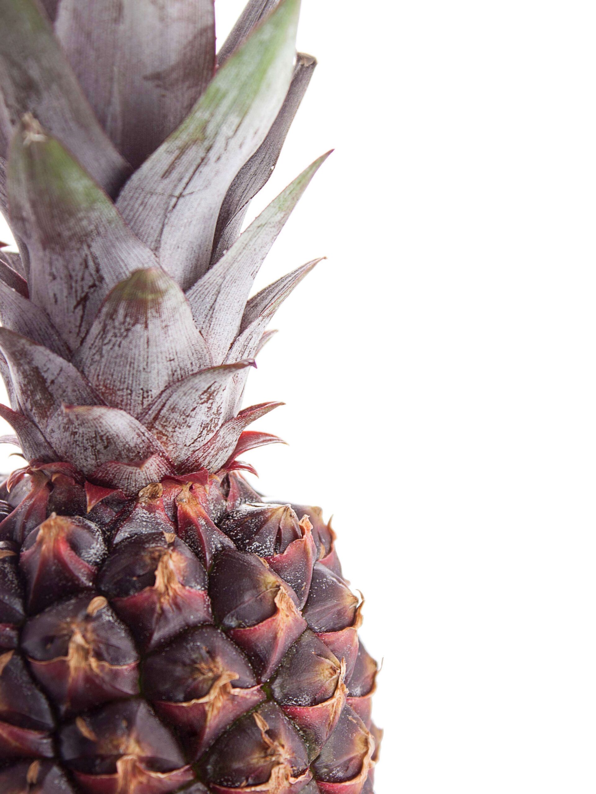 Zierananas dunkel