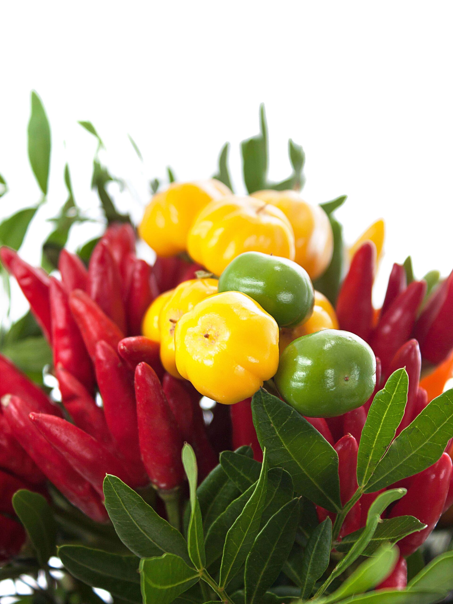 Bouquet Zierpaprika