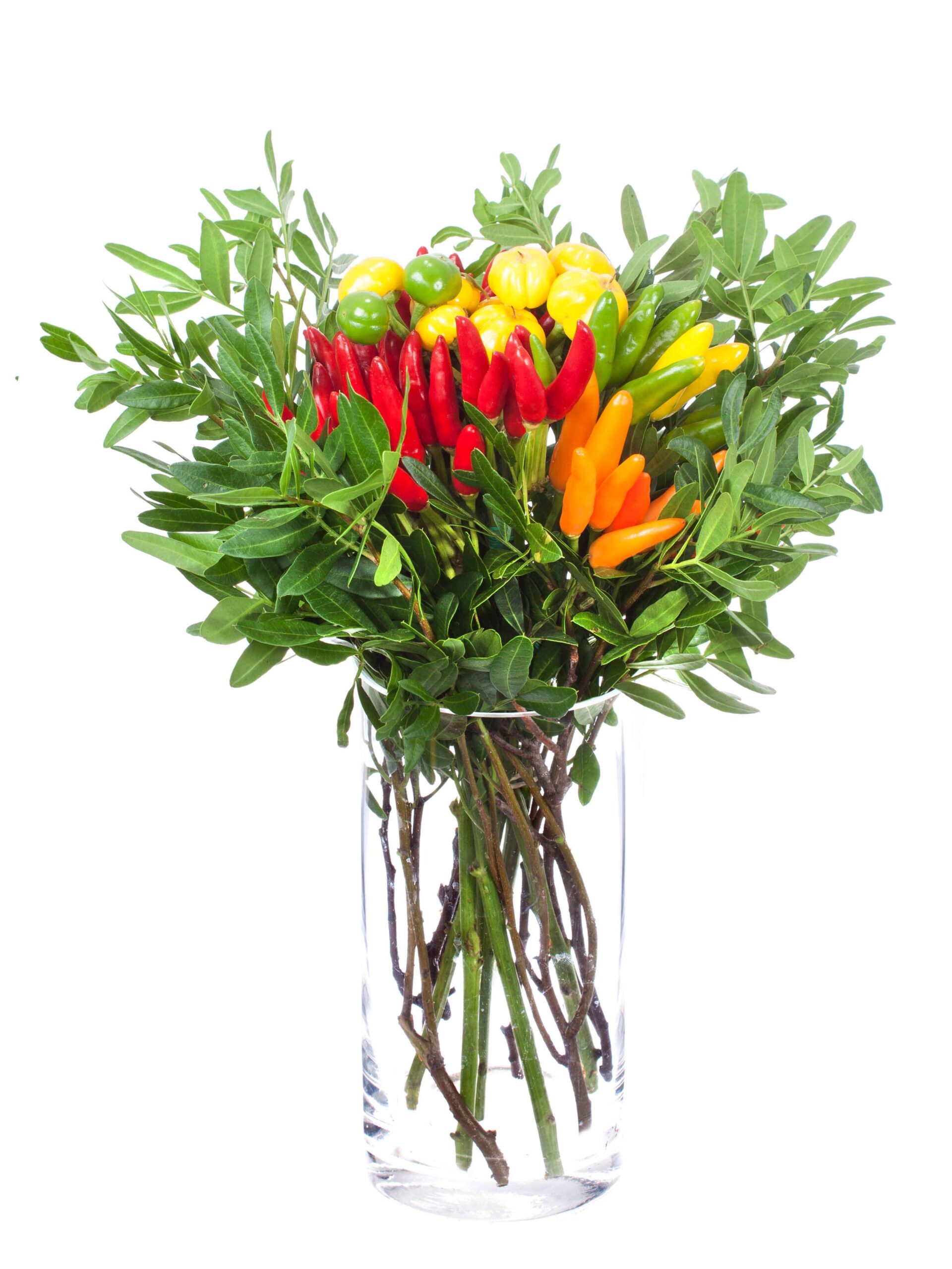 Bouquet Zierpaprika