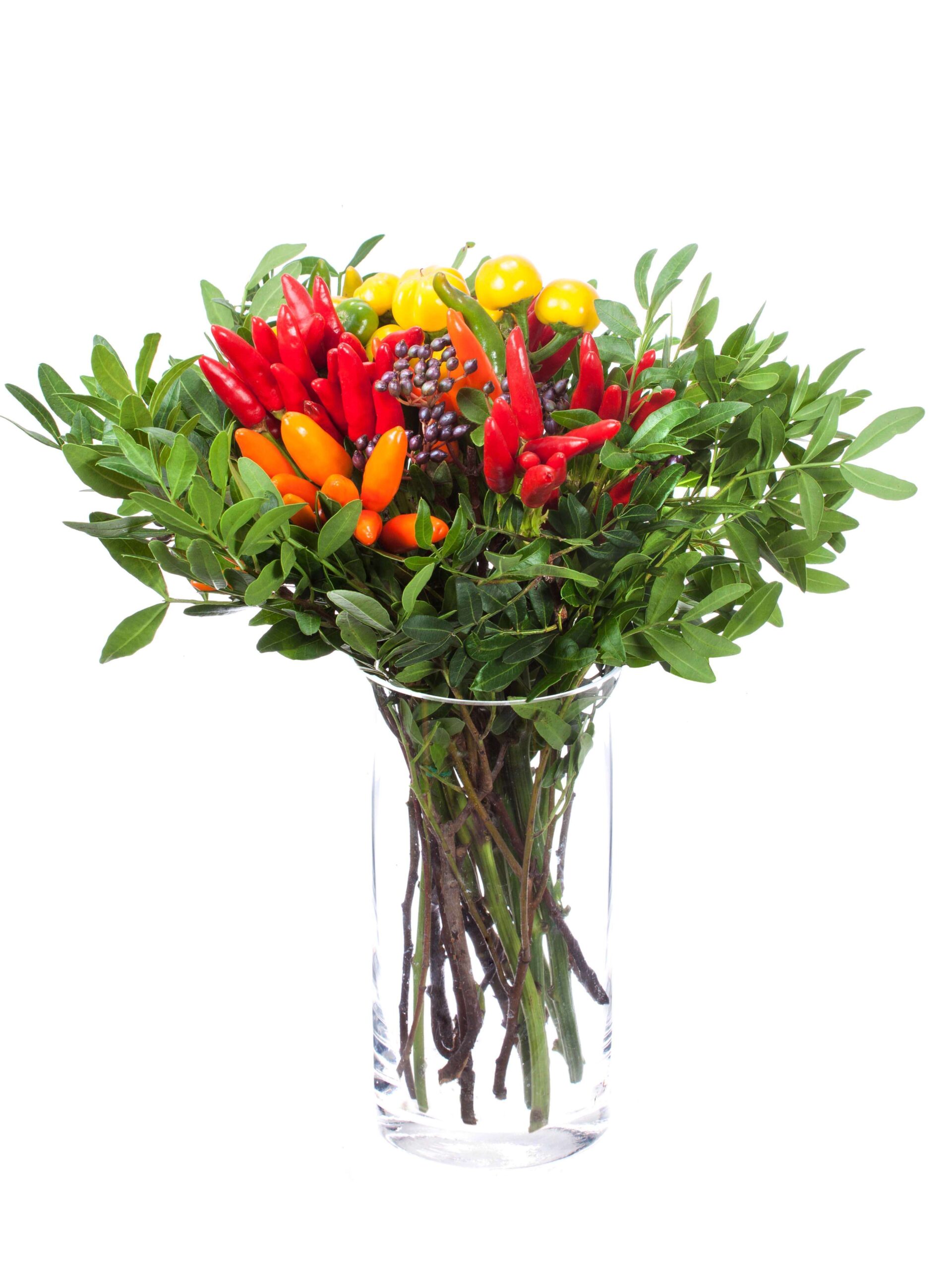 Zierpaprika Bouquet in verschiedenen Farben