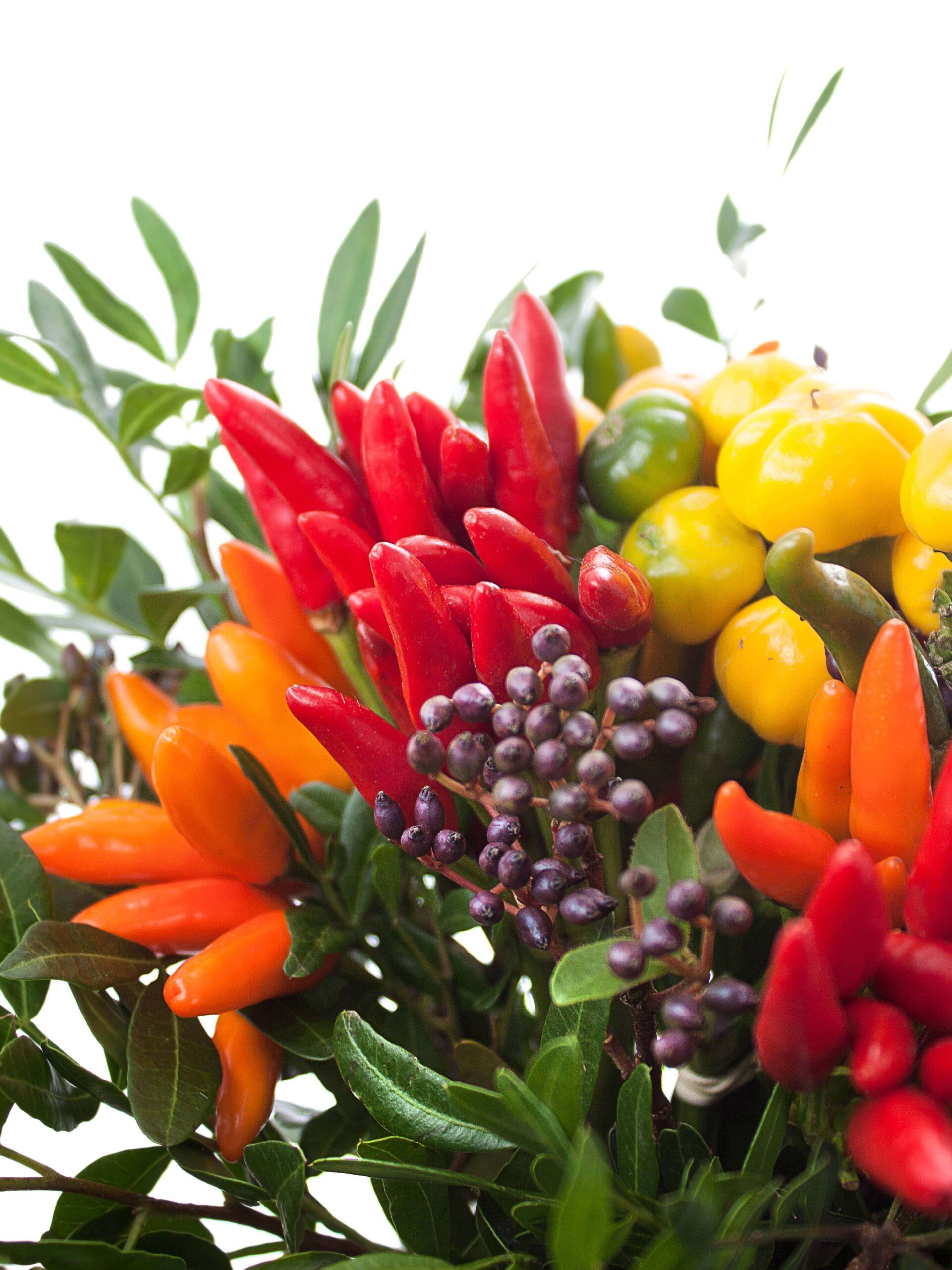 Bouquet Zierpaprika