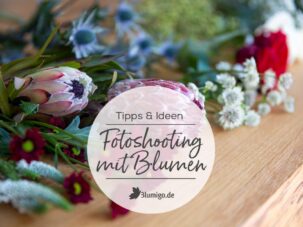 Ein Blick hinter die Kulissen – 5 Tipps für Fotoshootings mit frischen Blumen