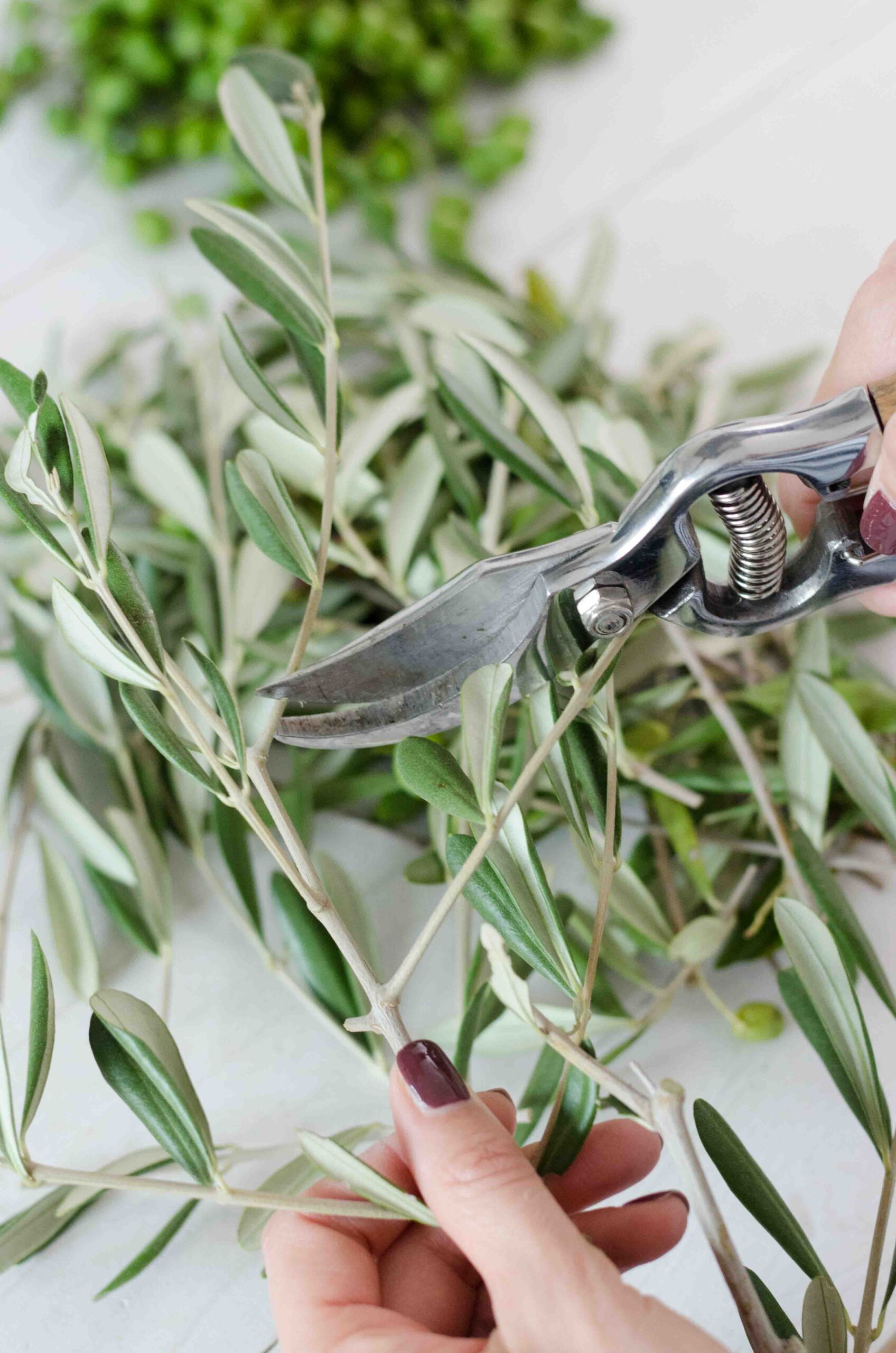 Hochzeit_Boho_Kugel_DIY_Olivenzweig zuschneiden