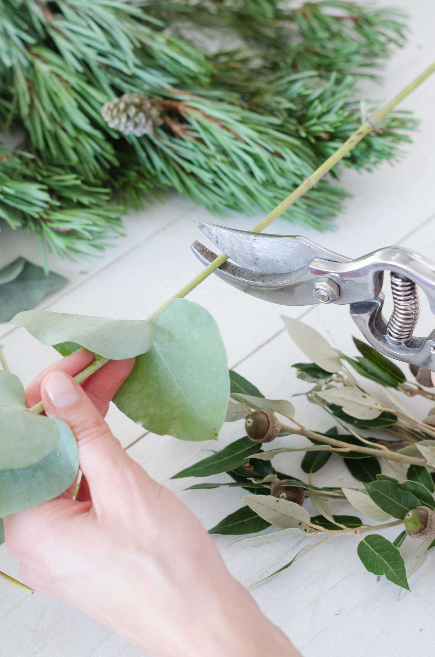 Advent_Boho_Kranz_DIY_Eukalyptus schneiden
