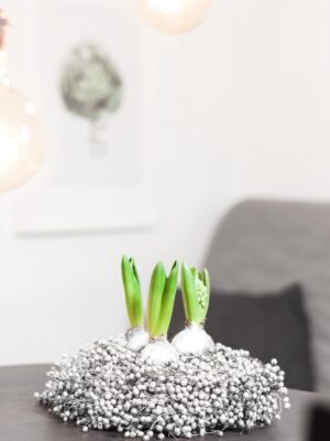 Winterlicher Flachskranz - 30 cm - DIY-Set mit gewachsten Hyazinthen