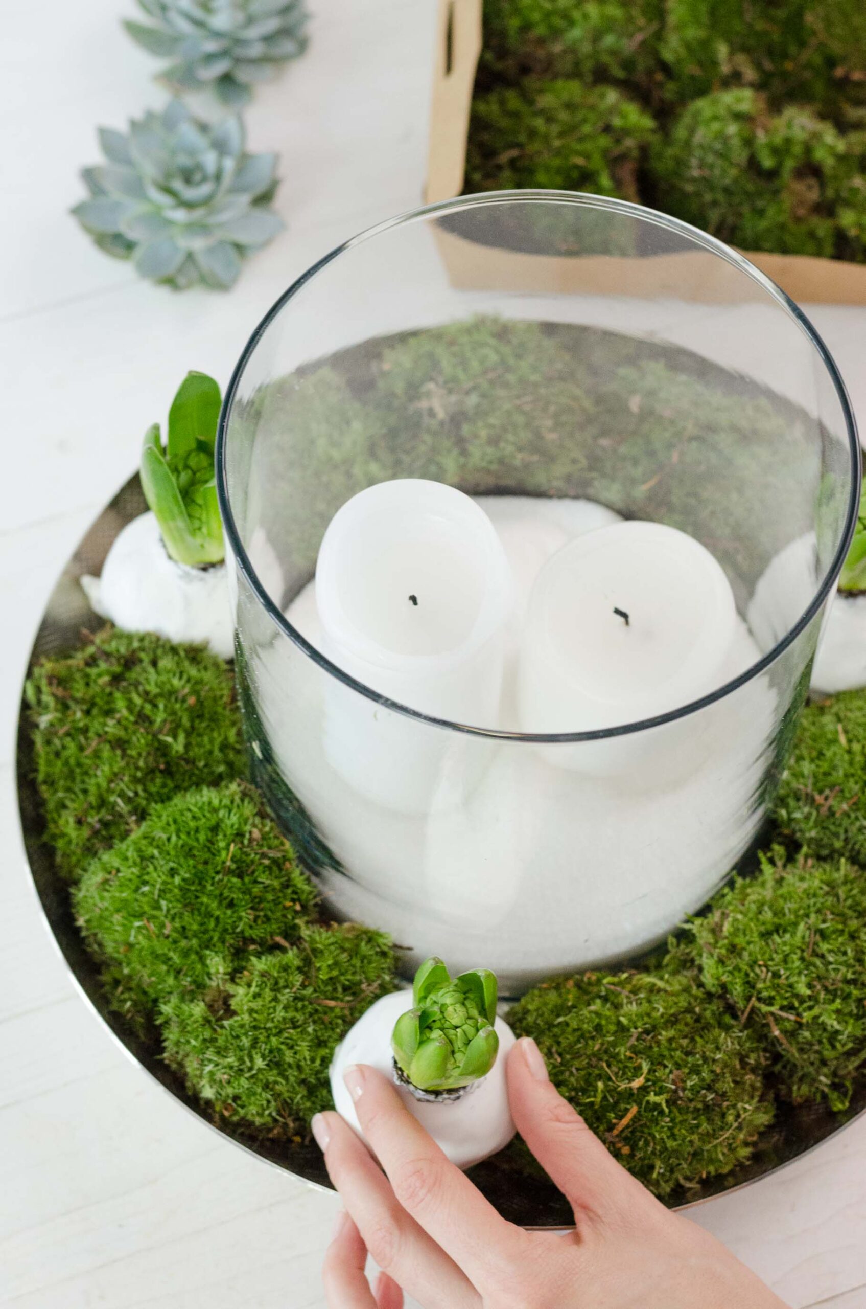Übergangsdeko_Winterdeko_DIY_Hyazinthen