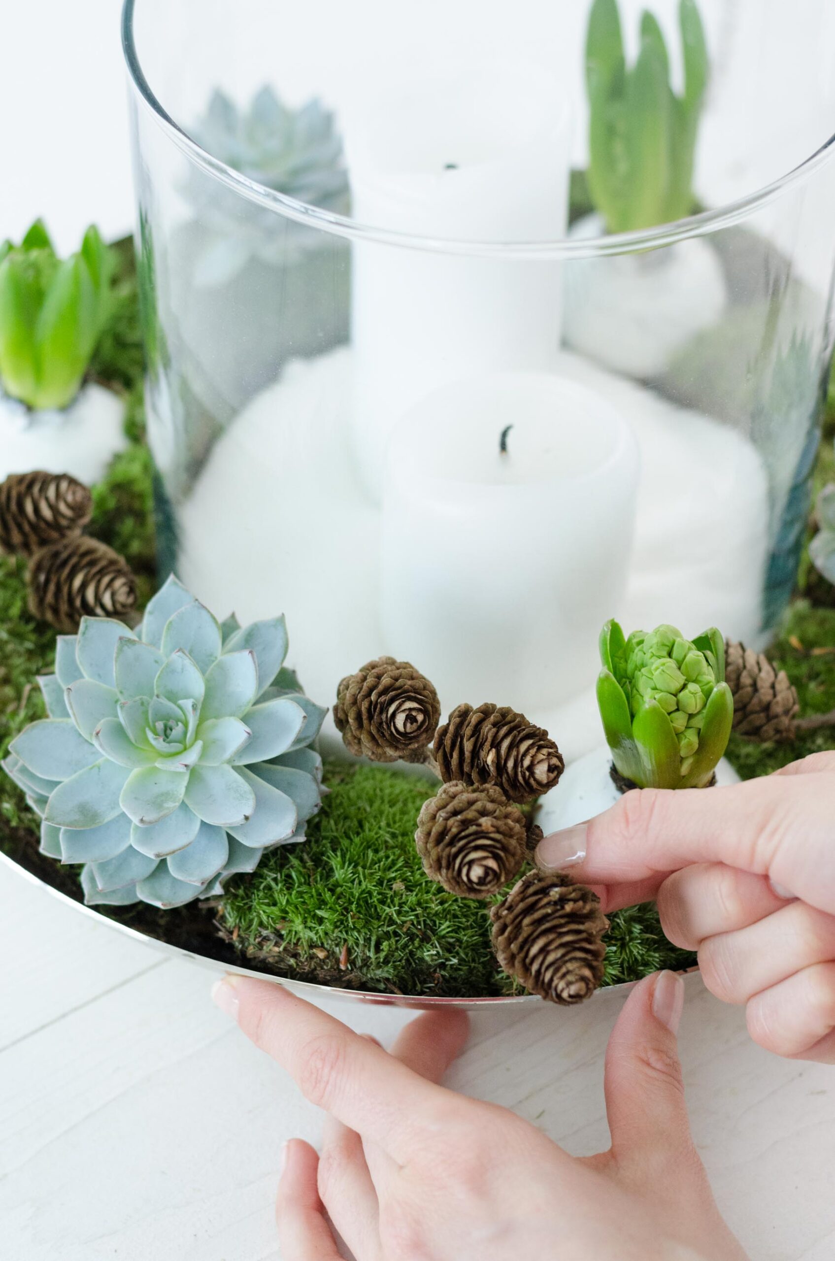 Übergangsdeko_Winterdeko_DIY_Moos_Laerchenzapfen