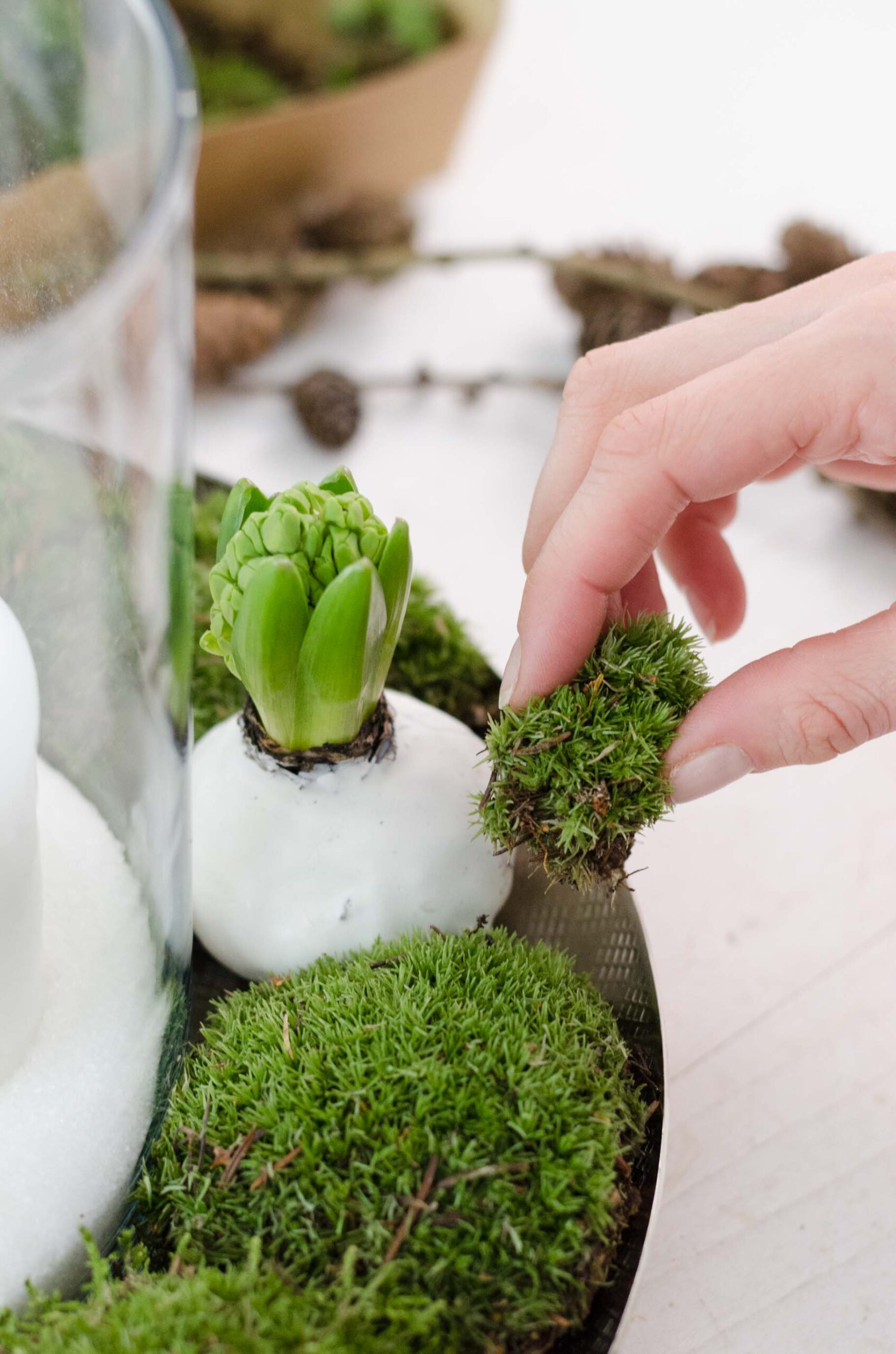 Übergangsdeko_Winterdeko_DIY_Moos_Luecken fuellen
