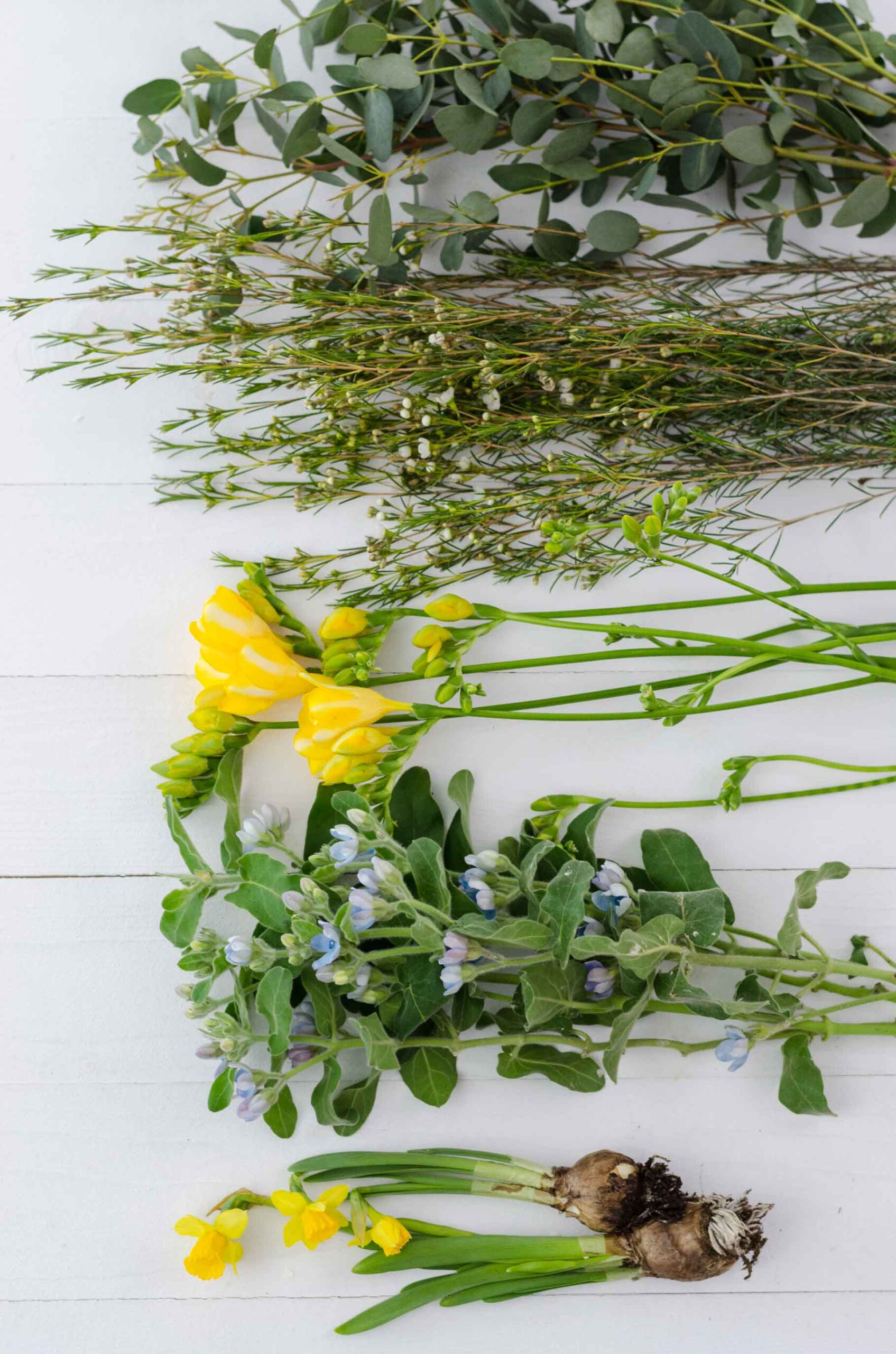 Kranz_Ostern_DIY_Blumenauswahl