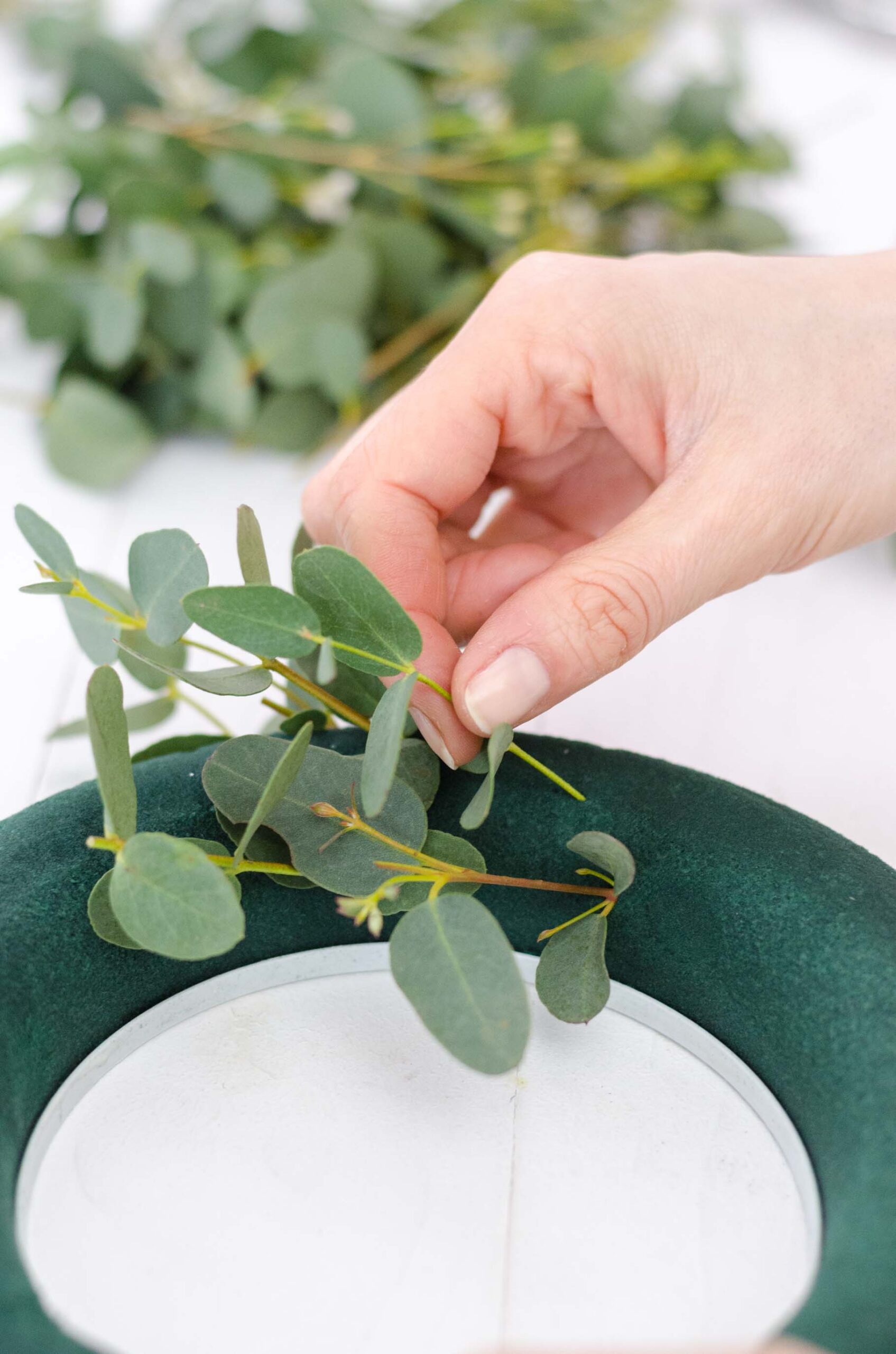 Kranz_Ostern_DIY_Eukalyptus_Steckmasse