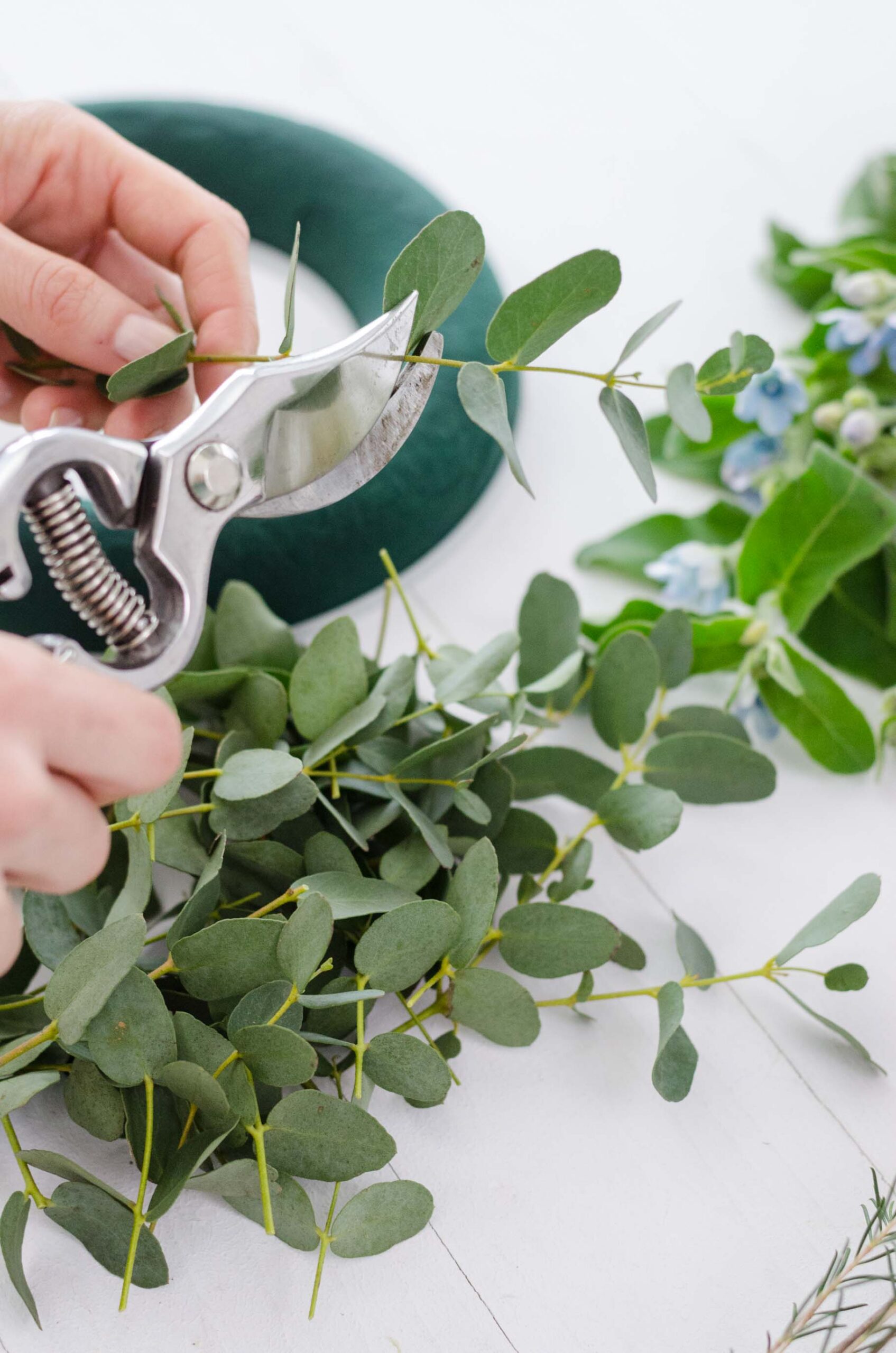 Kranz_Ostern_DIY_Eukalyptus_schneiden