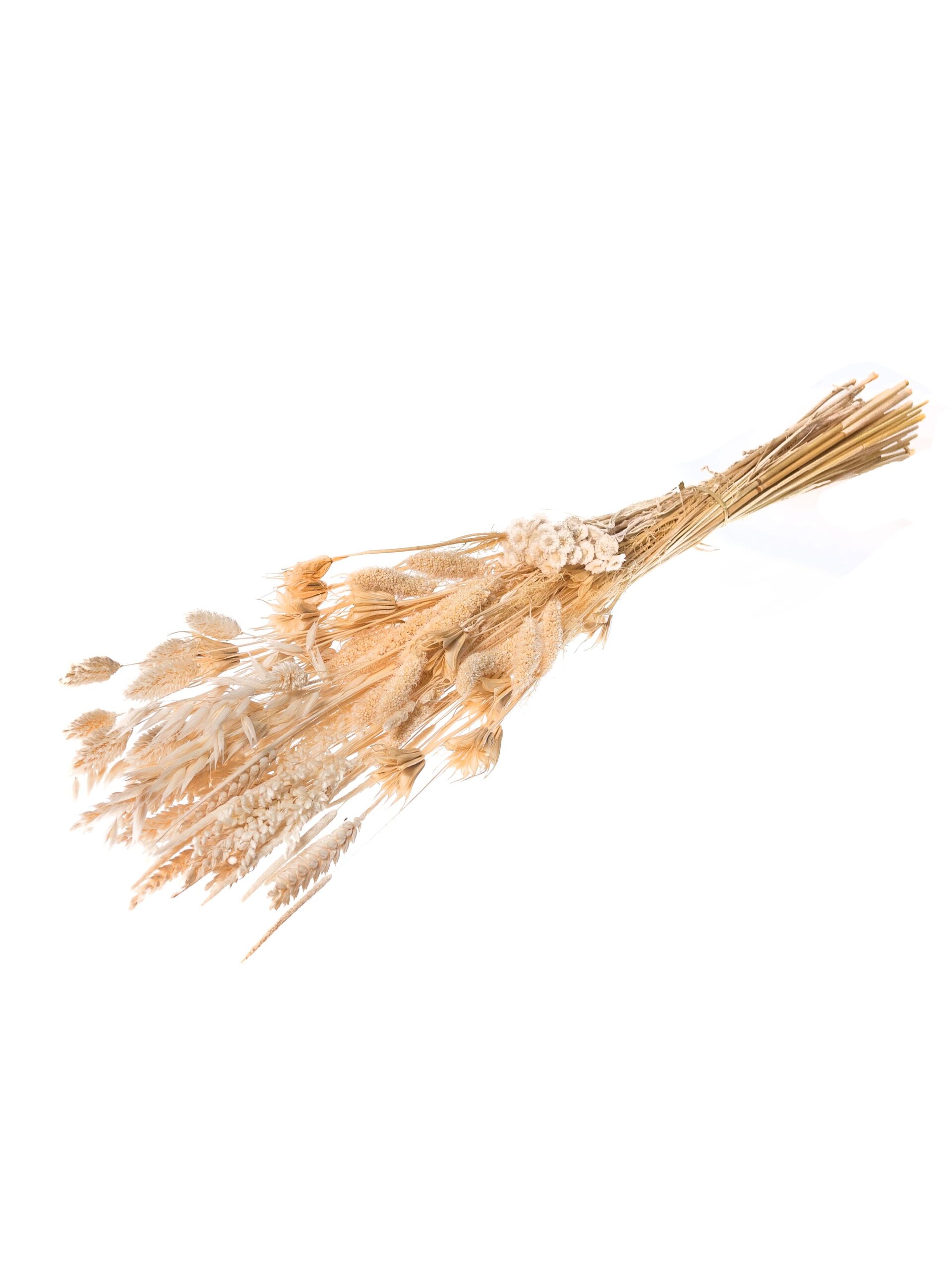 Trockenblumenmix gebleicht (1)