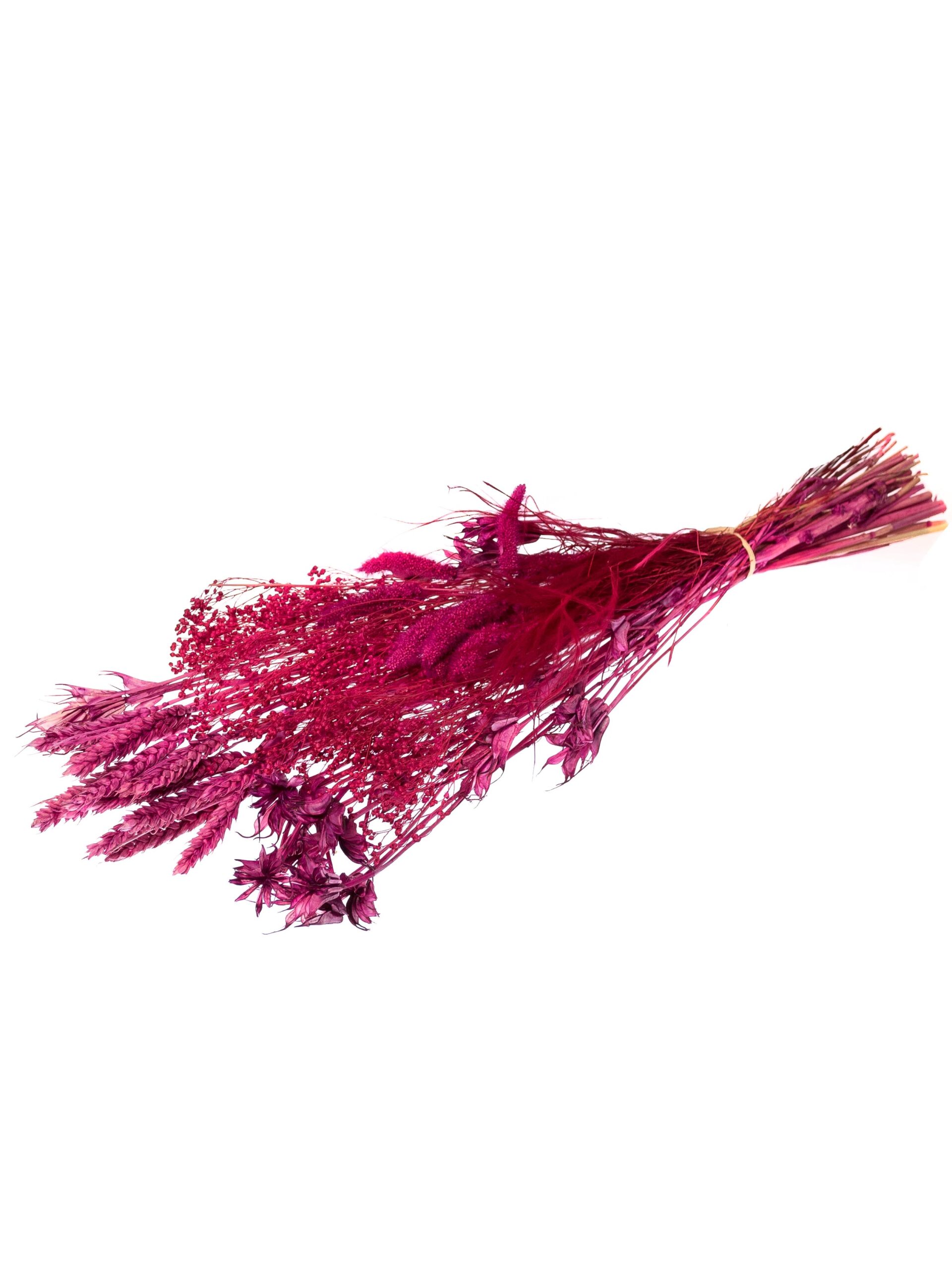 Trockenblumenmix pink