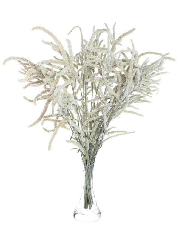 Ein ganzer Bund Amaranthus Yearming Desert in Weiß-Grau in einer Vase