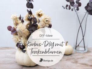 DIY-Anleitung Kürbis mit Trockenblumen
