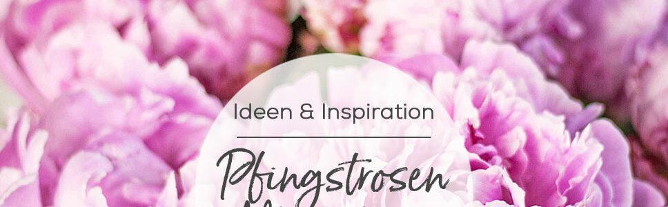 Pfingstrosen Schnittblumen Alternativen