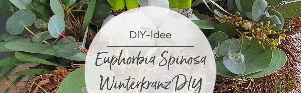 DIY Anleitung Moderner Winterkranz