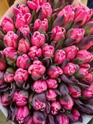 Tulpen painted