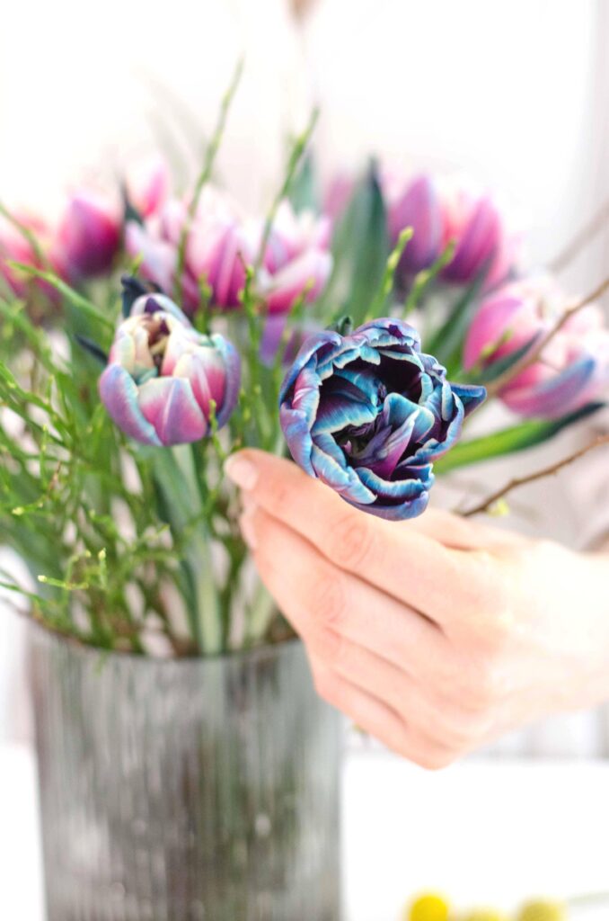 frühling_strauss_bunt_diy_tulpen_gefaerbt_ausschnitt