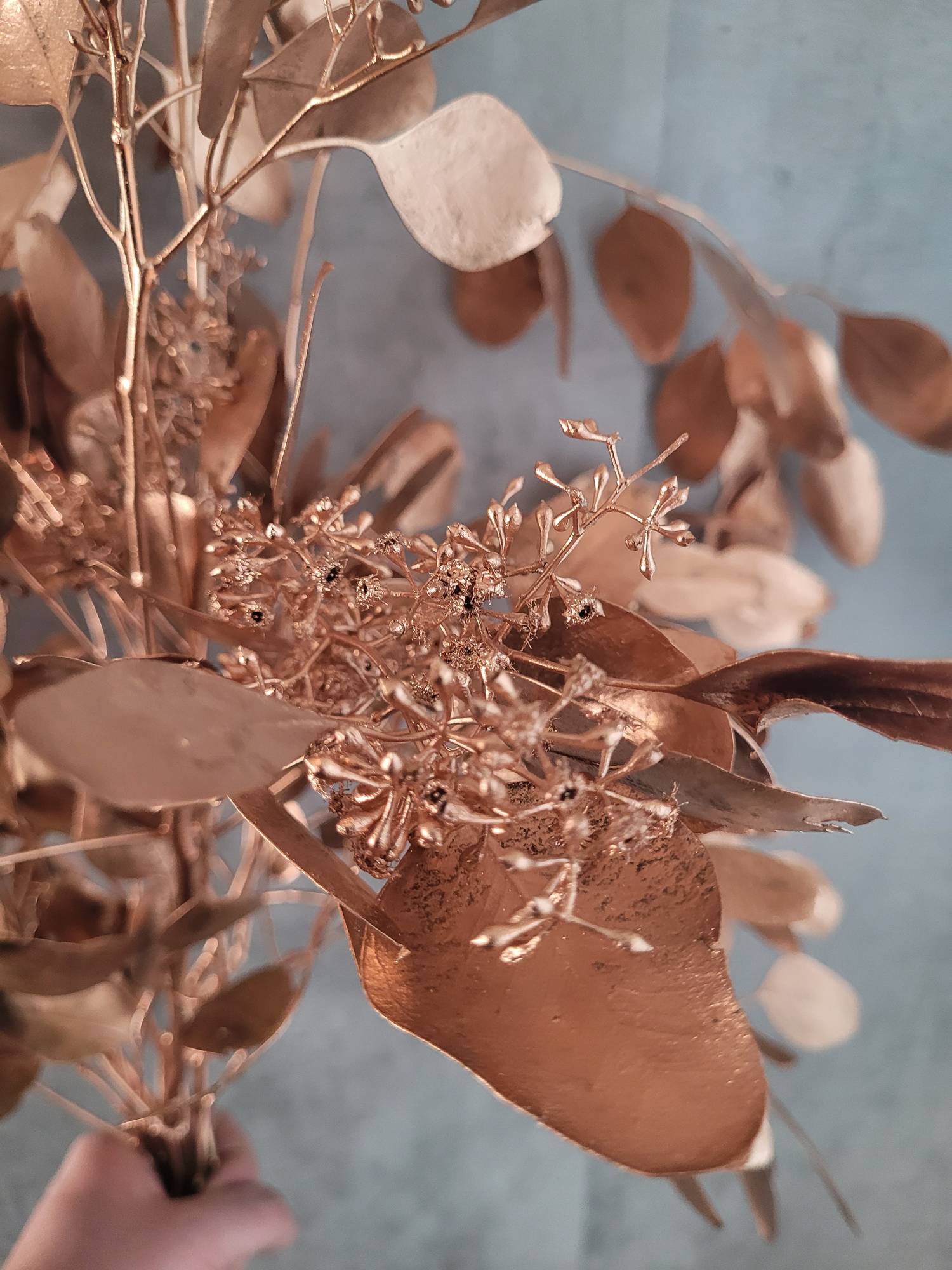 Eukalyptus „Populus“ mit Beeren – painted – kupfer