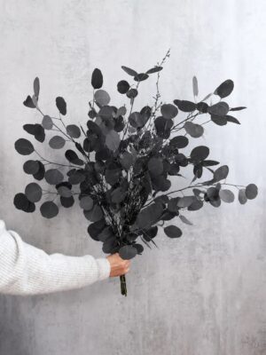 Eukalyptus