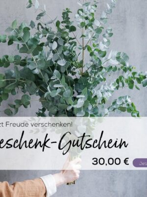 Geschenkgutschein - Erhalt per E-Mail - 30,00 €