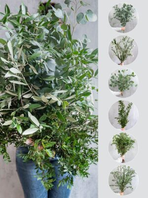 Greenery-Mix - 6 Bund gemischtes Grün