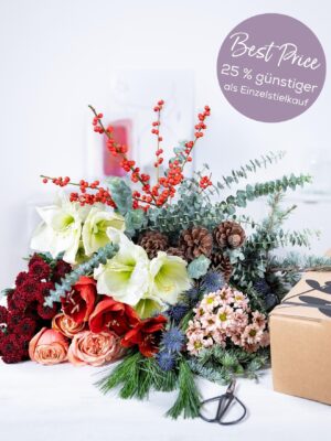 Christmas Box - Weihnachtlicher Überraschungsmix mit Amaryllis